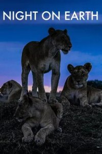 Постер Ночь на Земле (Night on Earth)