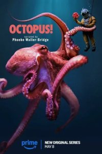 Постер Осьминог! (Octopus!)