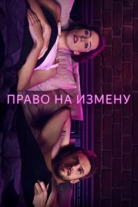 Постер Право на измену (Permission)
