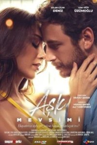 Постер Сезон любви (Ask Mevsimi)