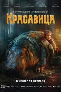 Постер Красавица