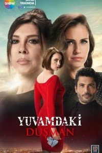 Постер Враг в моем доме (Yuvamdaki Dusman)