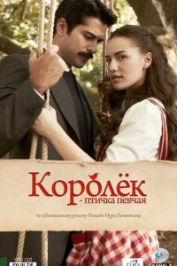 Постер Королёк - птичка певчая (Çalıkuşu)