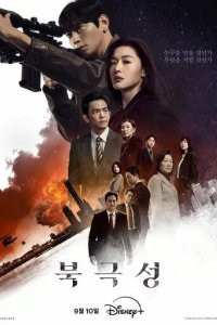 Постер Полярная звезда (Bukgeukseong)
