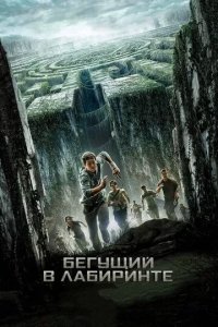 Постер Бегущий в лабиринте (The Maze Runner)