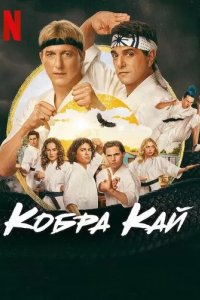 Постер Кобра Кай 1-6 сезон (Cobra Kai)