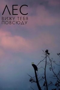 Постер Лес: Вижу тебя повсюду (Rengeteg - Mindenhol látlak)