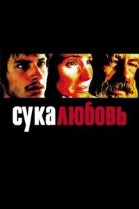 Постер Сука-любовь (Amores perros)