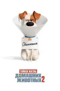 Постер Тайная жизнь домашних животных 2 (The Secret Life of Pets 2)