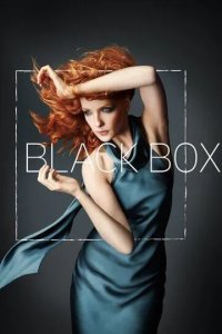 Постер Чёрный ящик (Black Box)