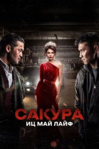 Постер Сакура. Иц май лайф (Sakura)