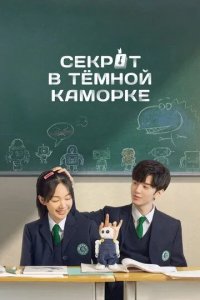 Постер Секрет в тёмной каморке (An ge li de mi mi)
