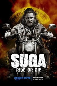 Постер Сюга (Suga)