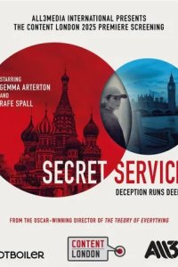Постер Секретная служба (Secret Service)