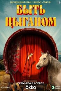Постер Быть цыганом