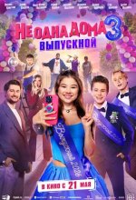 Постер Не одна дома 3. Выпускной