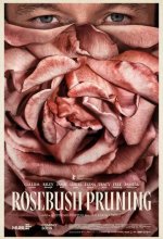 Постер Подрезка кустов роз (Rosebush Pruning)
