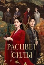 Постер Расцвет силы (Bai hua sha)
