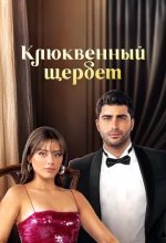 Постер Клюквенный щербет (Kızılcık Şerbeti)