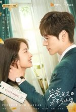 Постер Мистер Совершенство и мисс Ничего особенного (Wan mei xian sheng he cha bu duo xiao jie)