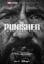 Постер Каратель: Последнее убийство (The Punisher: One Last Kill)