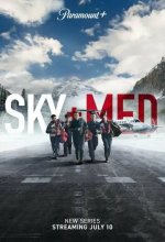 Постер Летучие медики (Skymed)