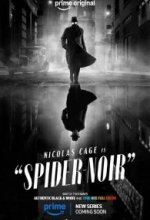 Постер Паук-Нуар (Spider-Noir)