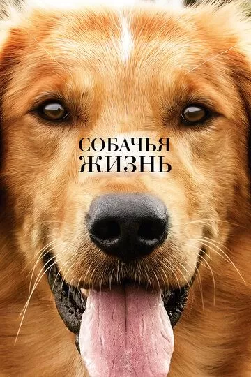 Постер Собачья жизнь (A Dog's Purpose)