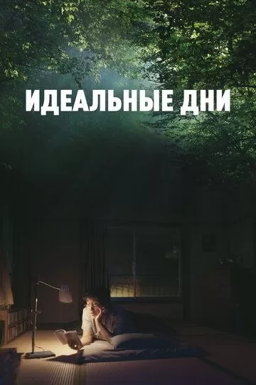 Постер Идеальные дни (Perfect Days)