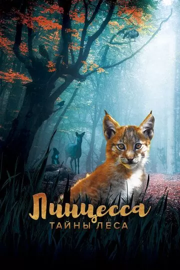 Постер Линцесса. Тайны леса (Lincessa. Los silencios del bosque)