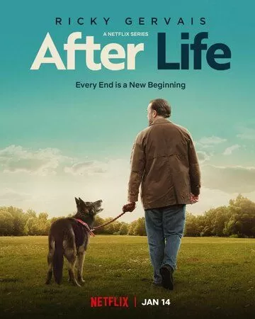 Постер Следом за жизнью (After Life)