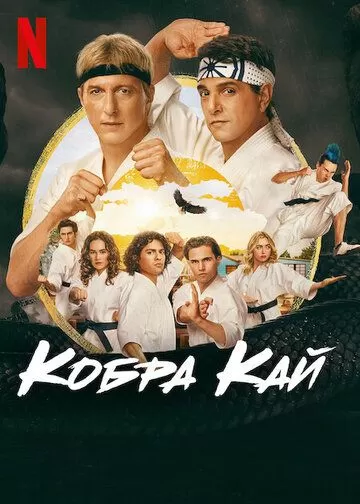 Постер Кобра Кай 1-6 сезон (Cobra Kai)