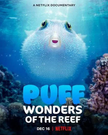 Постер Чудеса кораллового рифа (Puff: Wonders of the Reef)