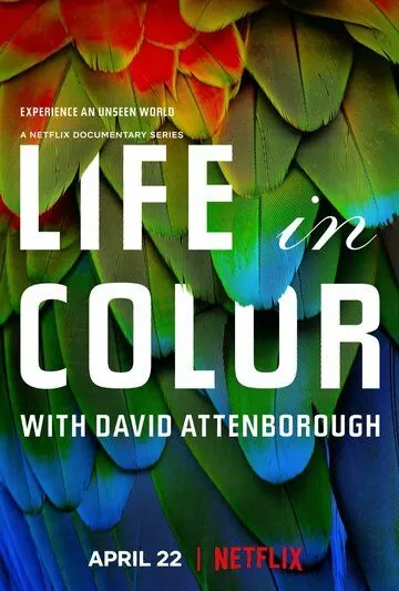 Постер Жизнь в цвете с Дэвидом Аттенборо (Life in Colour)