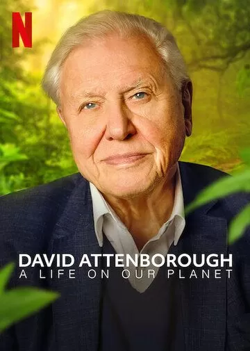 Постер Дэвид Аттенборо: Жизнь на нашей планете (David Attenborough: A Life on Our Planet)