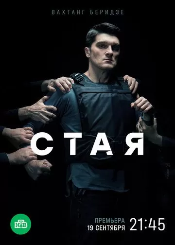 Постер Стая