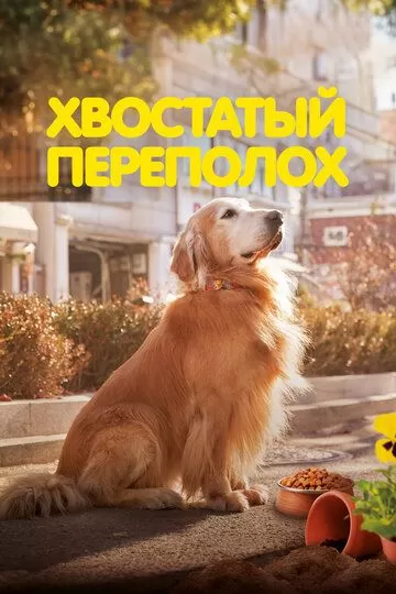 Постер Хвостатый переполох (Dogeu deijeu)