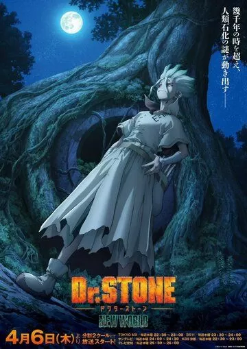 Постер Доктор Стоун (Dr. Stone)