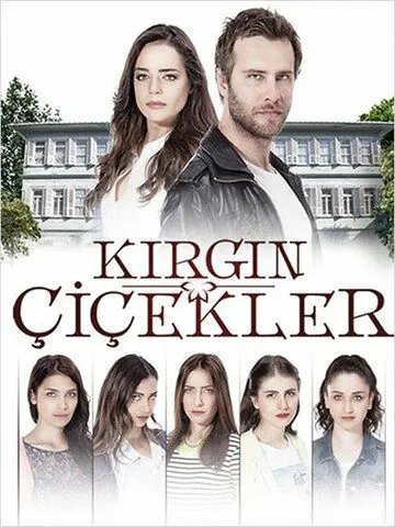 Постер Обиженные цветы (Kirgin Çiçekler)