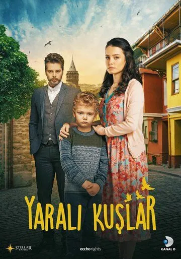 Постер Раненые птицы (Yarali Kuslar)