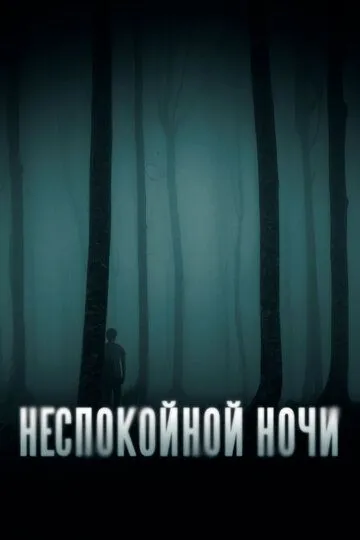 Постер Неспокойной ночи (Nightman)