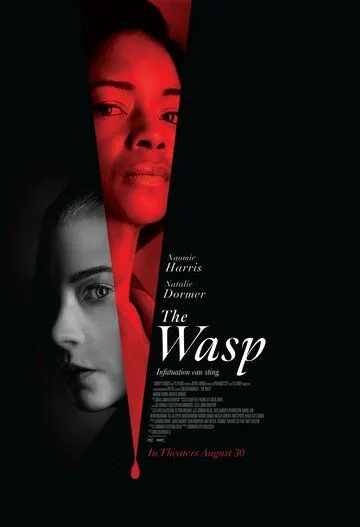 Постер Оса (The Wasp)