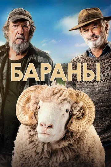 Постер Бараны фильм (Rams)