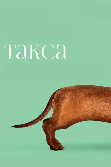 Постер Такса (Wiener-Dog)