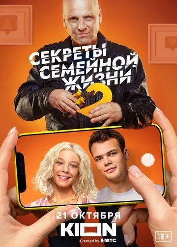 Постер Секреты семейной жизни