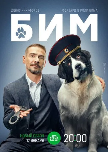 Постер Сериал БиМ