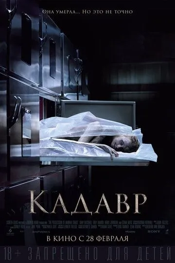 Постер Кадавр (The Possession of Hannah Grace)