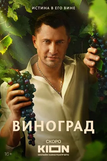 Постер Виноград