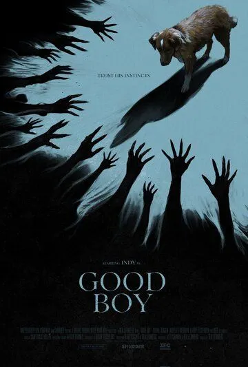 Постер Глазами пса (Good Boy)