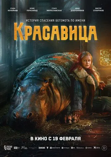 Постер Красавица